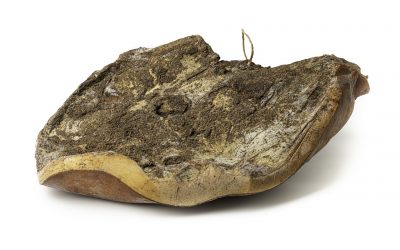 Il nostro speck tirolese