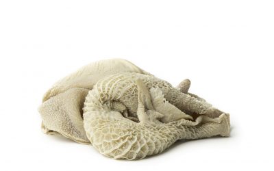 Trippa di Bovino Cotta